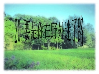 要是你在野外迷了路课件