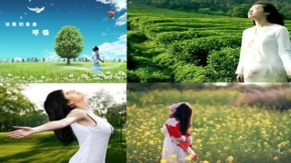 对人体吸入的空气和呼出的气体的探究