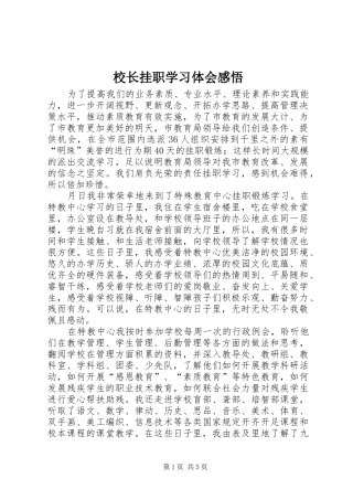 校长挂职学习体会感悟