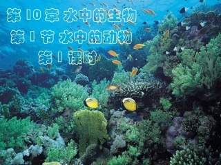 第10章第1节第1课时