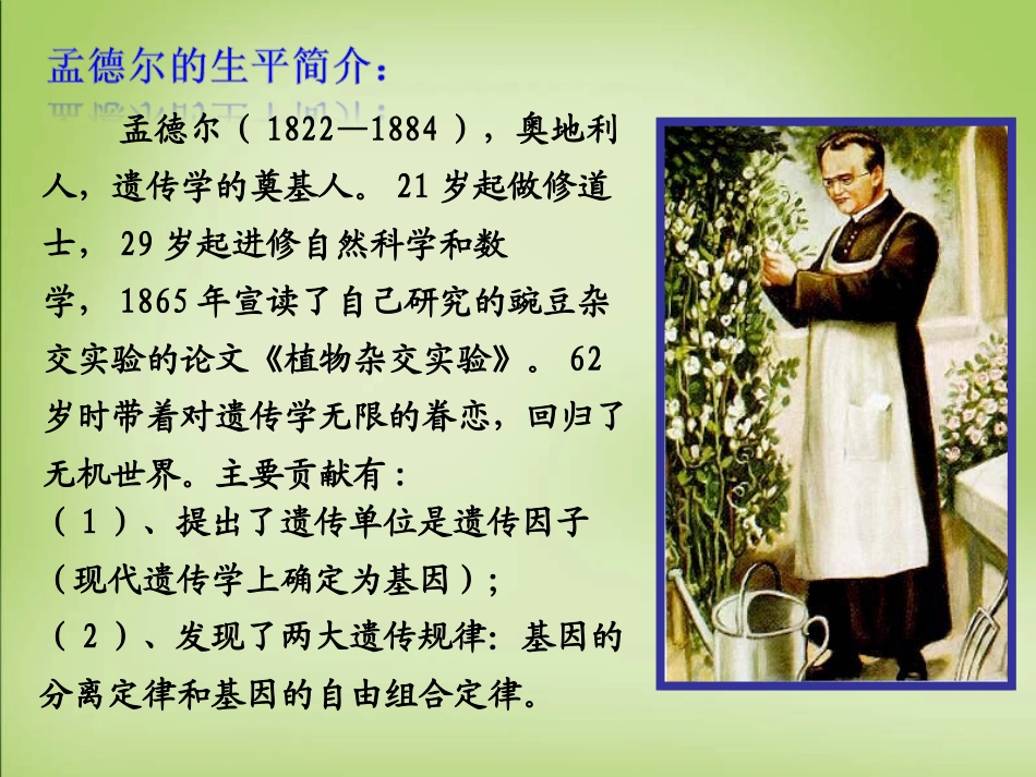 孟德尔杂交实验_第3页