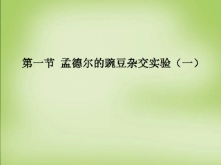 孟德尔杂交实验