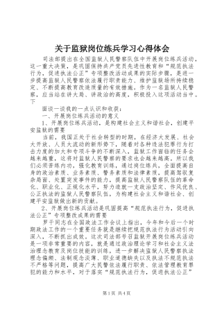 关于监狱岗位练兵学习心得体会