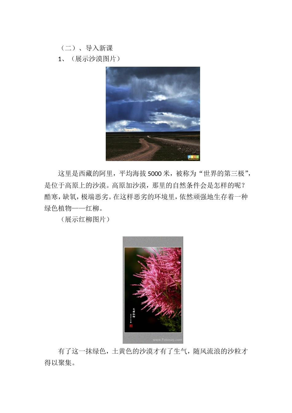 离太阳最近的树教案_第3页