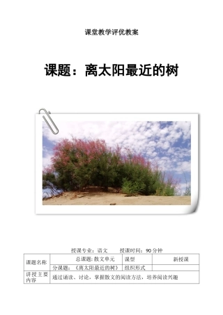 离太阳最近的树教案