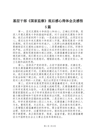 基层干部《国家监察》观后感心得体会及感悟5篇