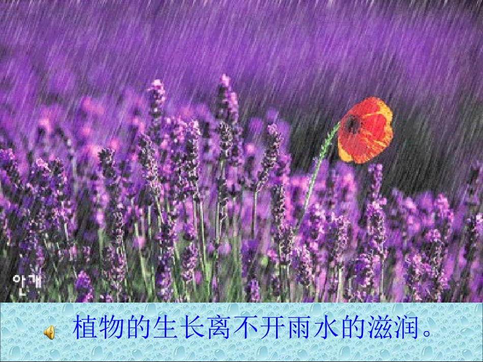 精选湘教版美术五年级下册_第十课_生命的甘露_第3页