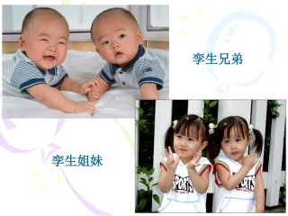 火星地球的孪生兄弟