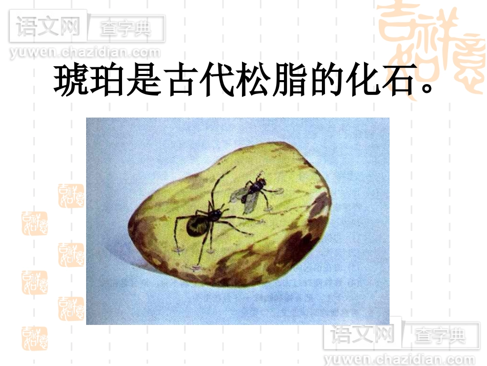 奇异的琥珀的课件_第2页