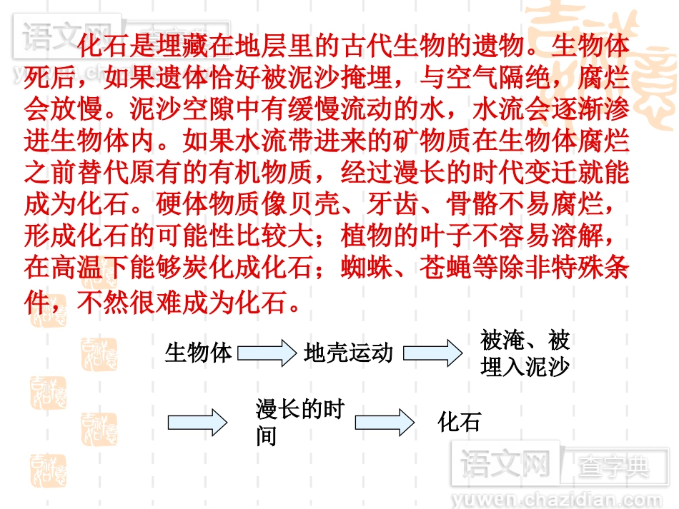 奇异的琥珀的课件_第3页