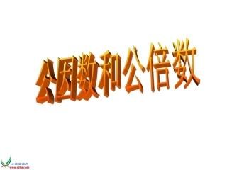 公因数和公倍数