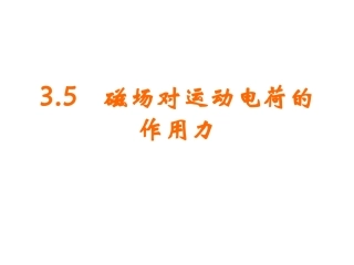 磁场对运动电荷的作用力