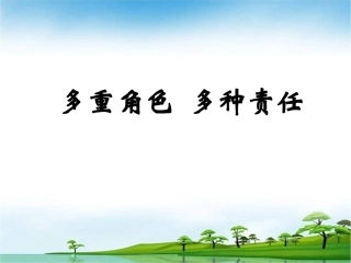 多重角色多种责任确定版