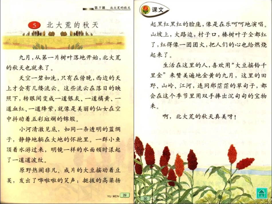 《北大荒的秋天》6_第3页