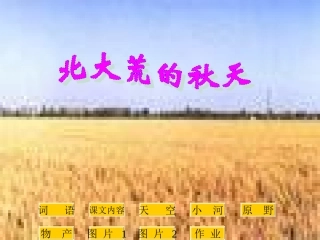 《北大荒的秋天》6