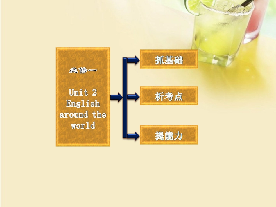 高考英语复习 Unit2 English around the world专题课件 新人教版必修1 课件_第2页