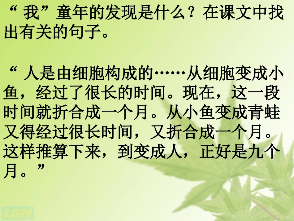 童年的发现课件5_第3页