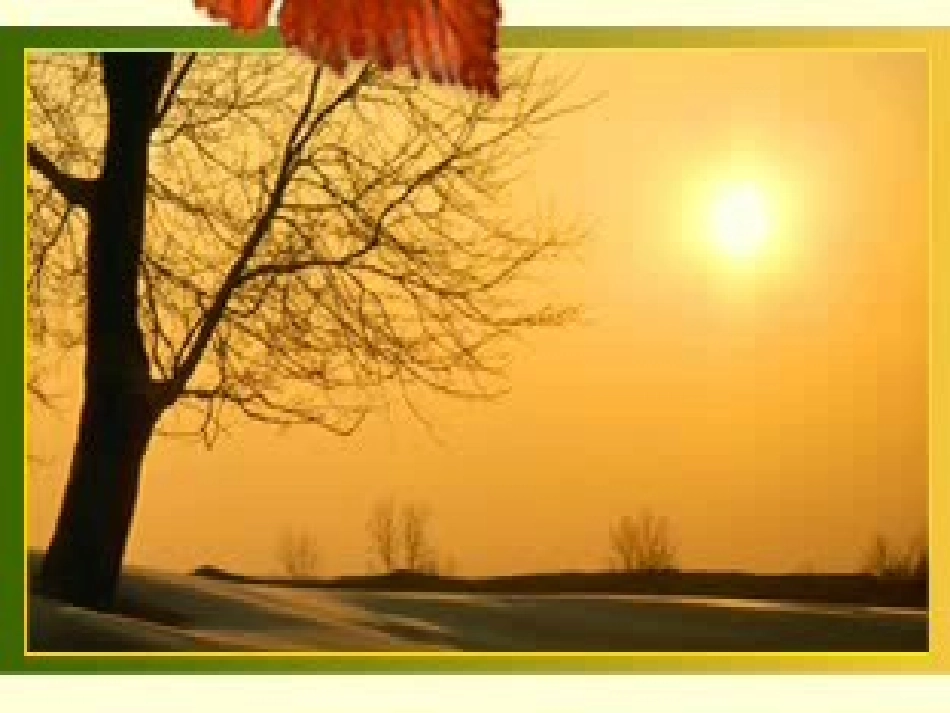 二年级语文夕阳真美1_第2页