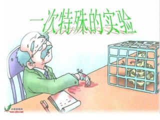 一次特殊的实验