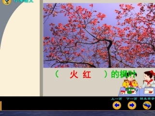 《蓝色的树叶》