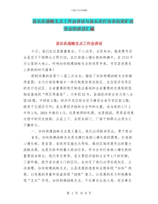 县长在战略支点工作会讲话与县长在打击非法采矿动员会的讲话汇编