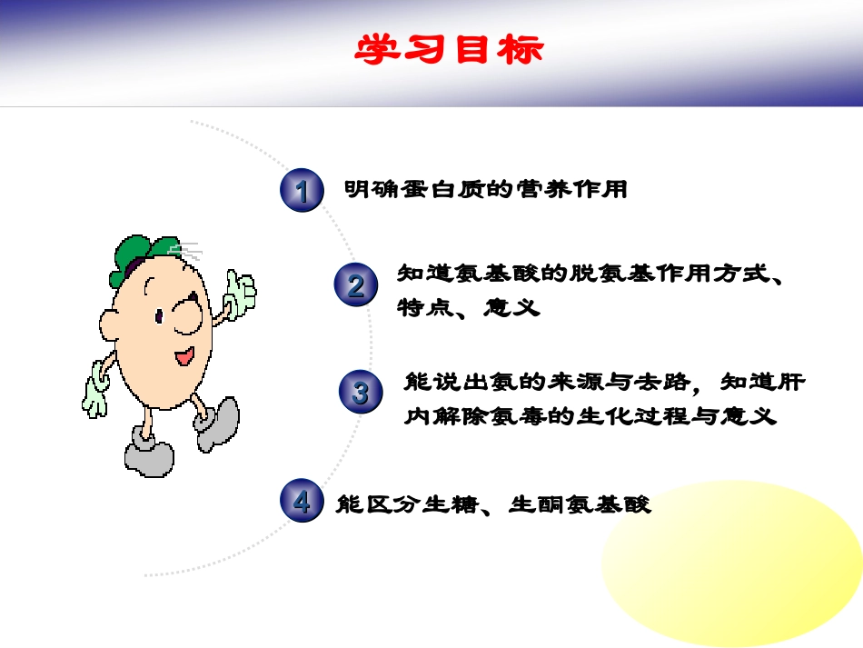 蛋白质代谢------PPt课件_第3页