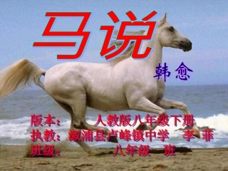 马说（麻阳教学比武）