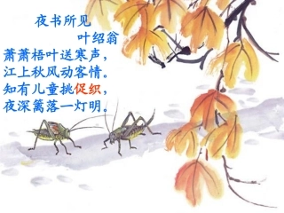 《蟋蟀的住宅》课堂演示课件 (2)