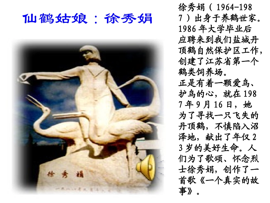 《灰椋鸟》第二课时PPT_第2页