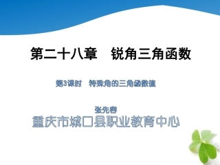锐角的三角函数值