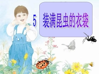 2014苏教版五年级上册《装满昆虫的衣袋》PPT课件3
