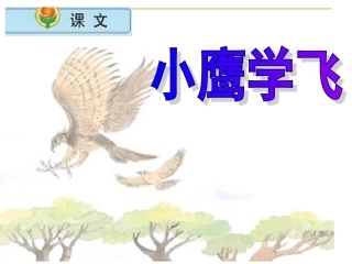 小鹰学飞第一二课时