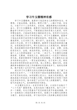 学习牛玉儒精神有感