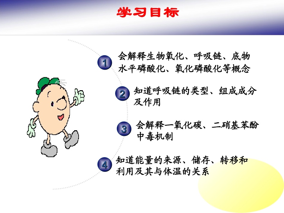 生物氧化------PPT课件_第3页