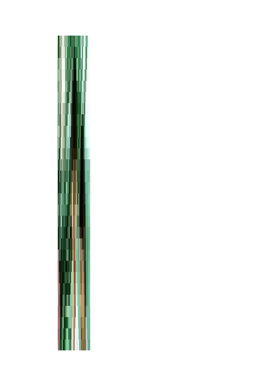 小学生怎样写好读后感_第2页