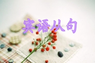初中英语宾语从句讲解练习