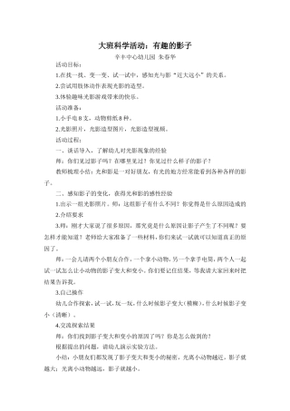 大班科学有趣的影子