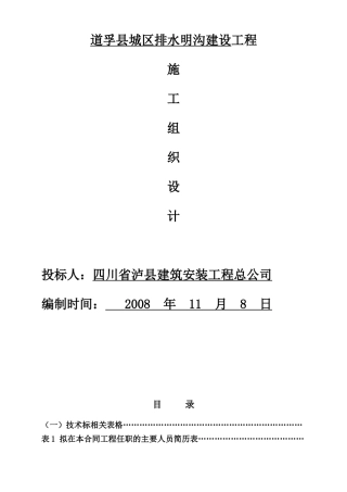 道孚县城区排水明沟建设工程(1)