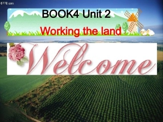 必修4Unit2WarmingupandReading