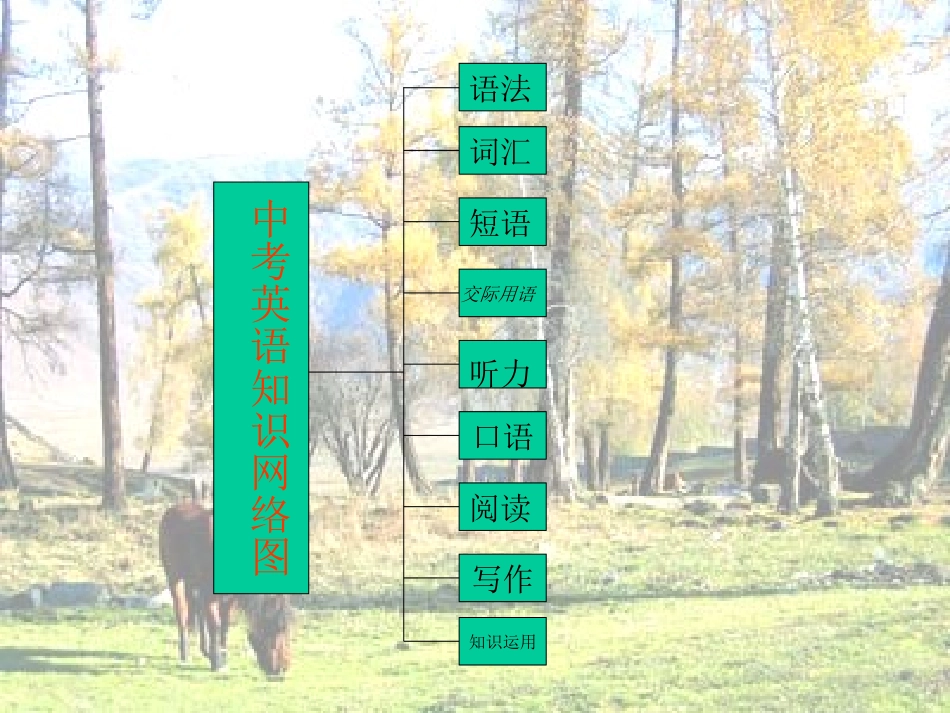 初三英语中考知识结构图_第2页