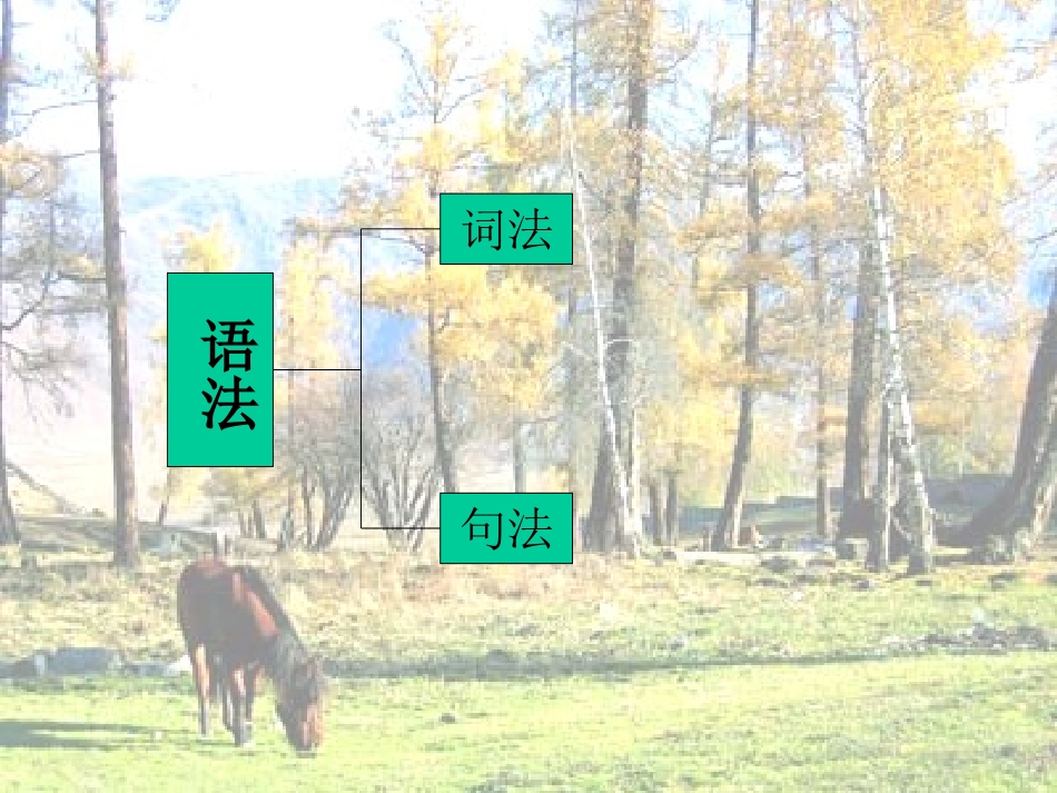 初三英语中考知识结构图_第3页