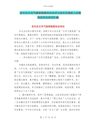 县长在正风气提效能推进会讲话与县长在残疾人证换发动员会讲话汇编