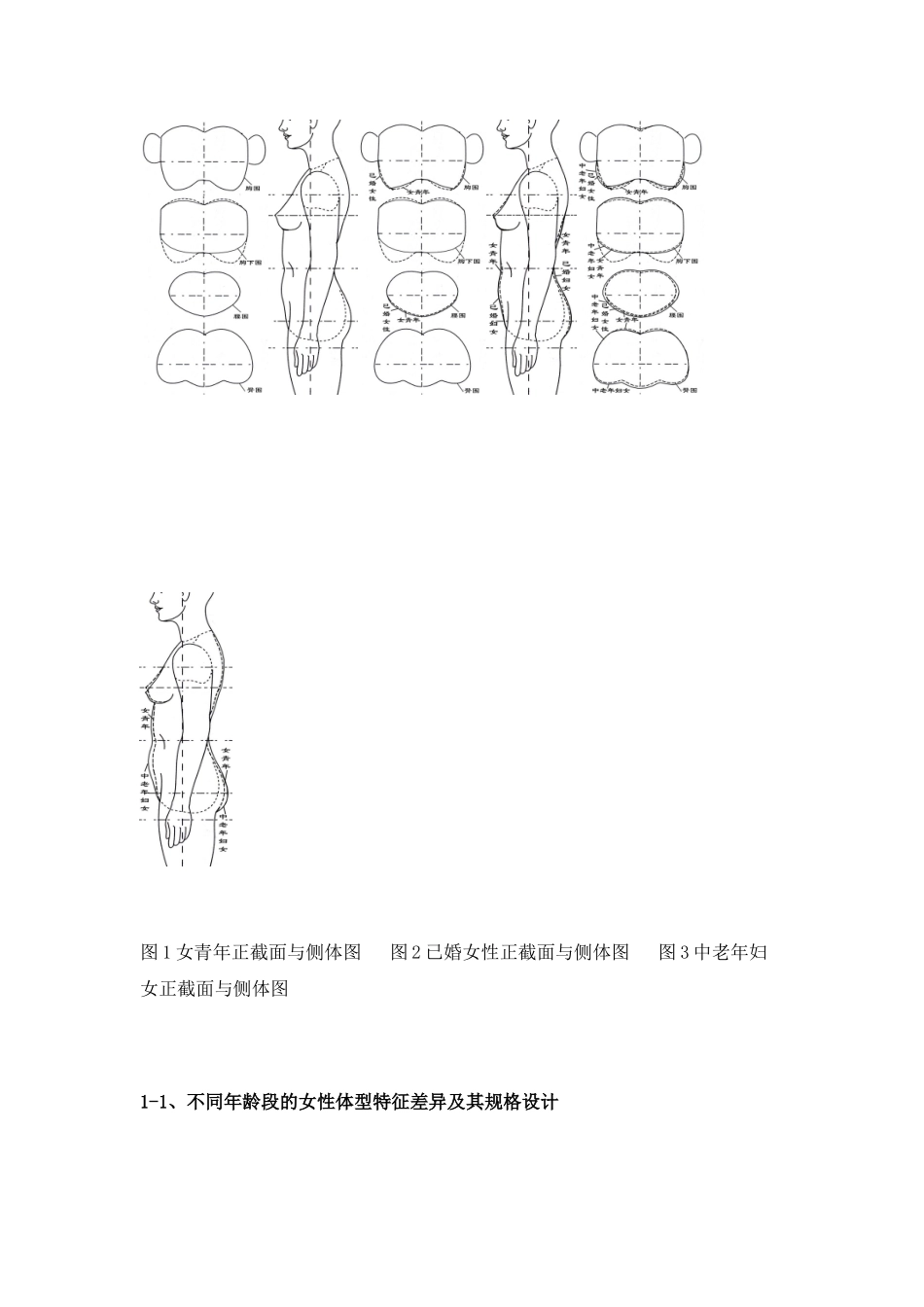中国女性体型特征及其内衣消费特点的调查分析_第3页