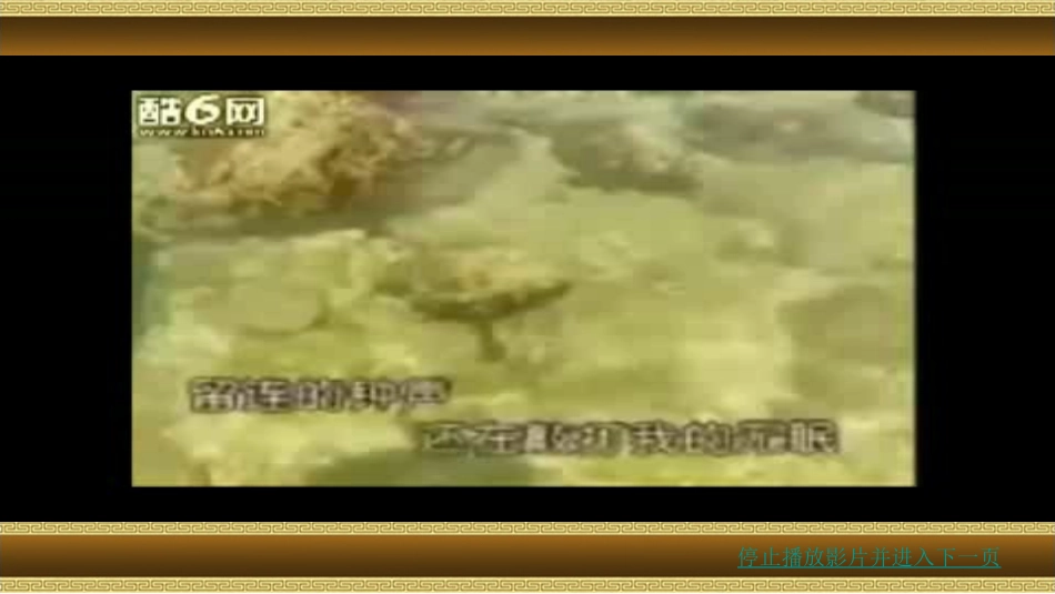 枫桥夜泊饶菊芳课件_第2页