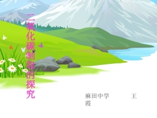 初中三年级化学上册第六单元碳和碳的氧化物62二氧化碳的制取和研究第一课时课件