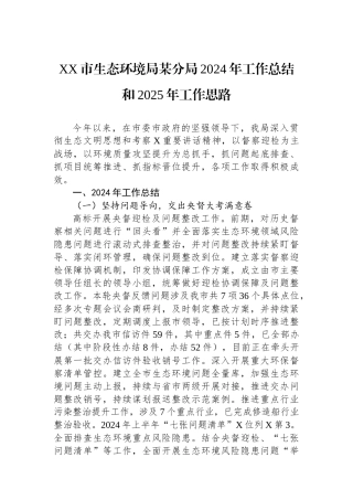 XX市生态环境局某分局2024年工作总结和2025年工作思路