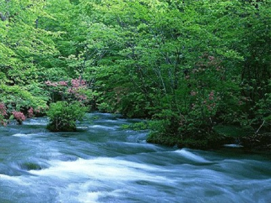 精英杯展示《快活的小河》_第2页