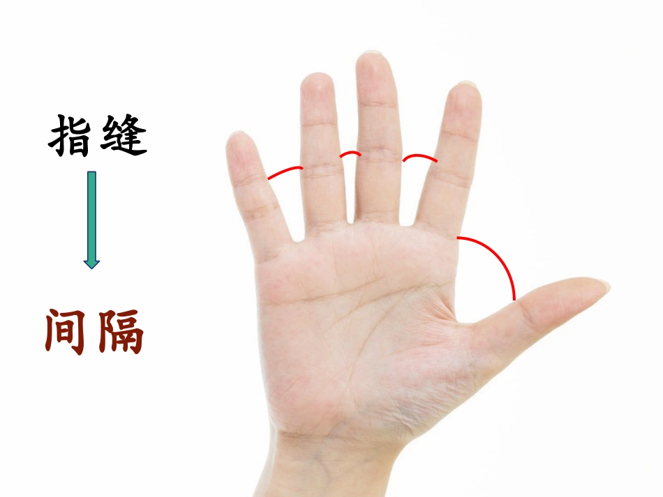 植树问题2(1)_第3页