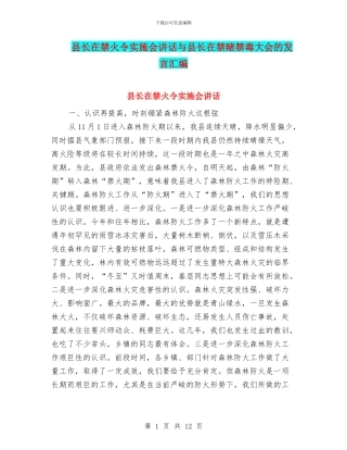 县长在禁火令实施会讲话与县长在禁赌禁毒大会的发言汇编