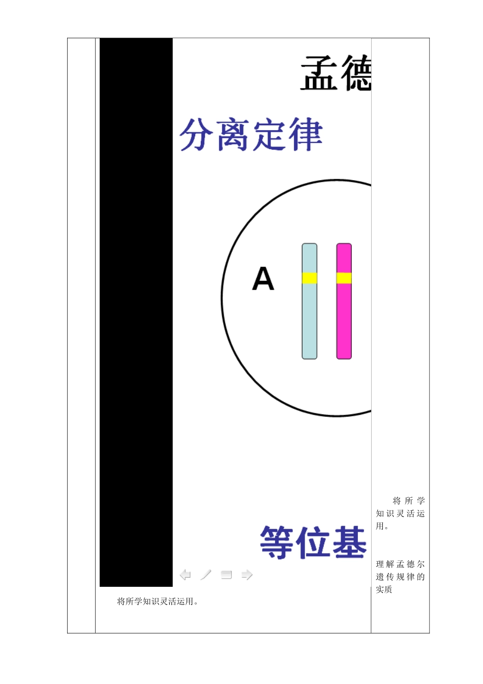 基因在染色体上(第二课时)_第2页